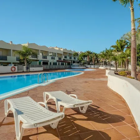 Obsidian Olivino Daire *